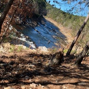 Meet your Posher, Baylee